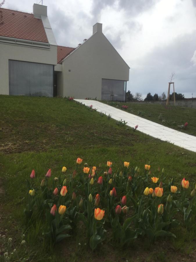 Villa Valtice Eksteriør billede